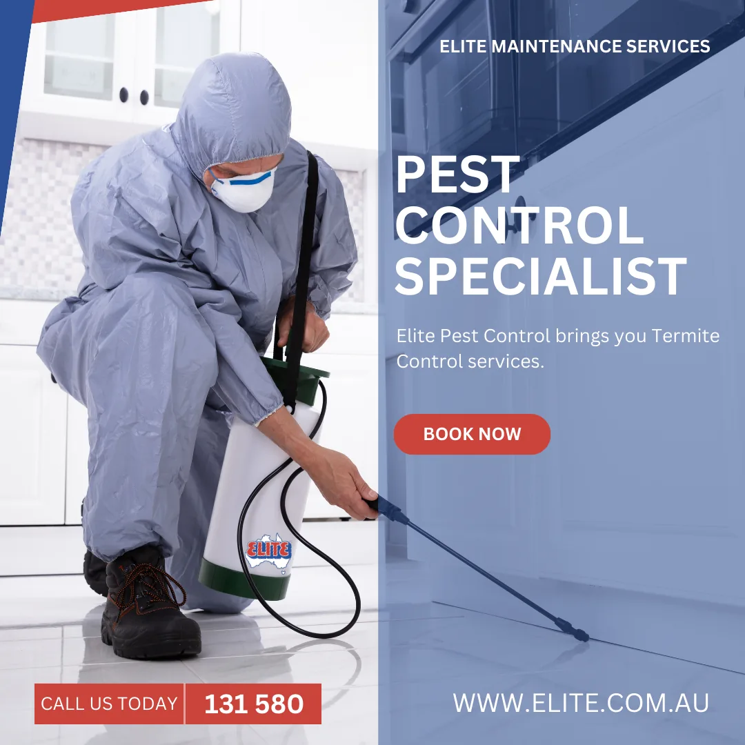Pest Control in Brisbane: What it costs